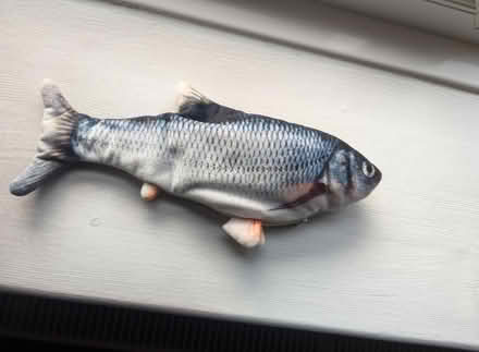 Photo of free Cat toy - flappy fish (SE23) #1