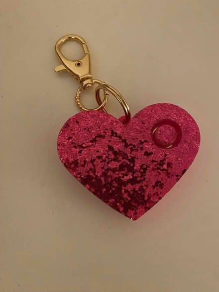 Photo of free Pink glitter safety keychain (Bloomfield, near Stamna) #1