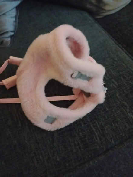 Photo of free Cat harness and lead (Cr4) #1