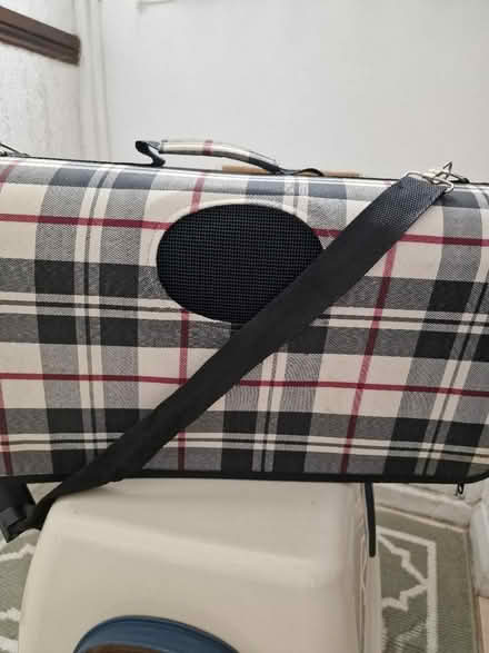 Photo of free Cat carrier (N17 the roundway) #1