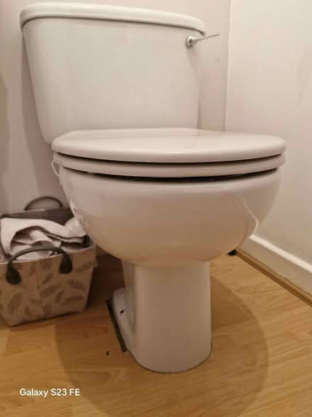 Photo of free White toilet with taupe seat (DE14) #3