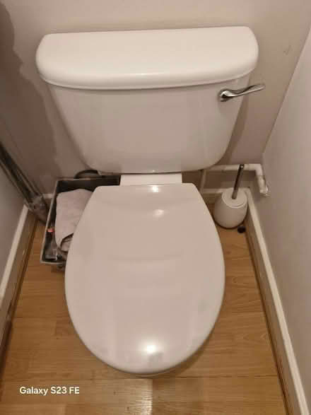 Photo of free White toilet with taupe seat (DE14) #2