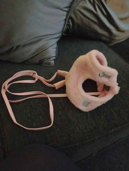 Photo of free Cat harness and lead (Cr4) #2