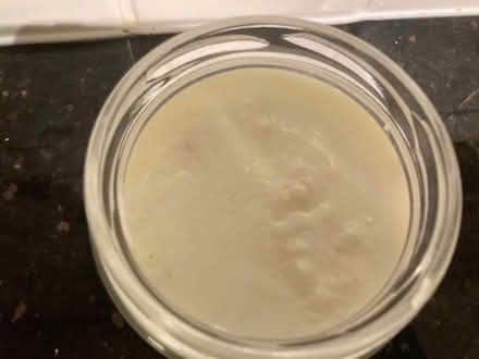 Photo of free Kefir 'mother' grains (Kenton NE3) #2