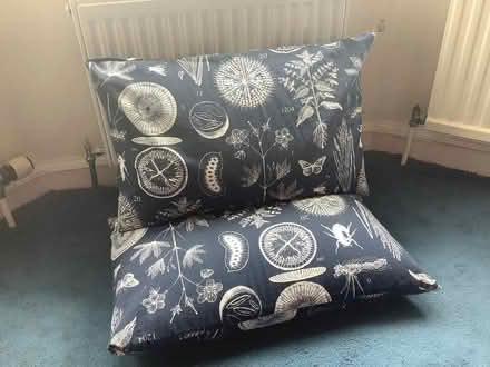 Photo of free 2 memory foam cushions (Moorfields) #1