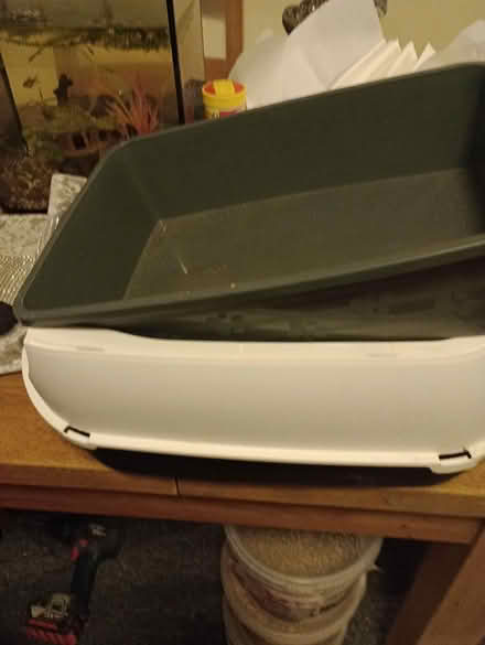 Photo of free Two small litter trays (Cr4) #1