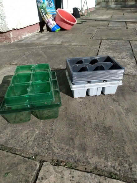 Photo of free Plant / Seed trays (Shurdington GL51) #1