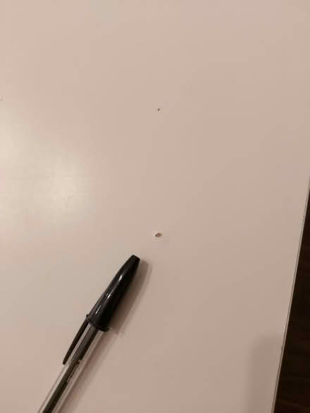 Photo of free Ikea table (SE16) #3