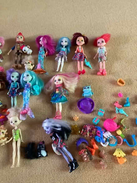Photo of free Enchantimal dolls (Sevenoaks (near station)) #4
