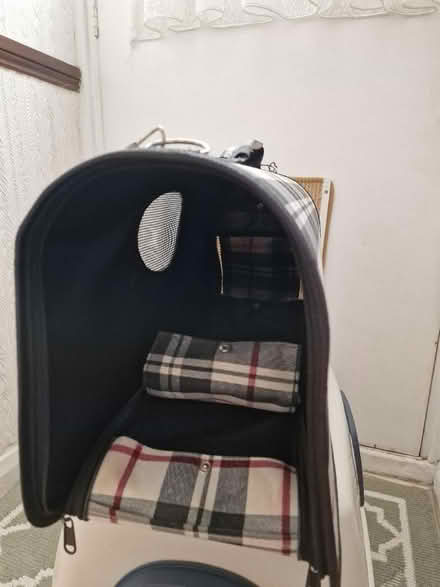 Photo of free Cat carrier (N17 the roundway) #2
