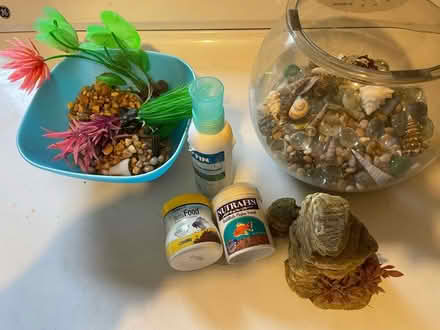 Photo of free Fishy stuff (West Medford ma) #1