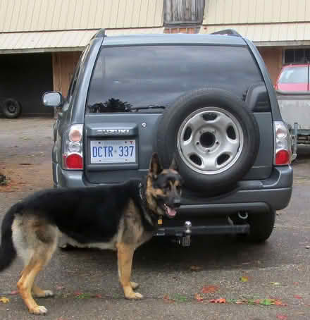 Photo of Pet Barrier for vehicle (S.E. of Caledon Village) #1