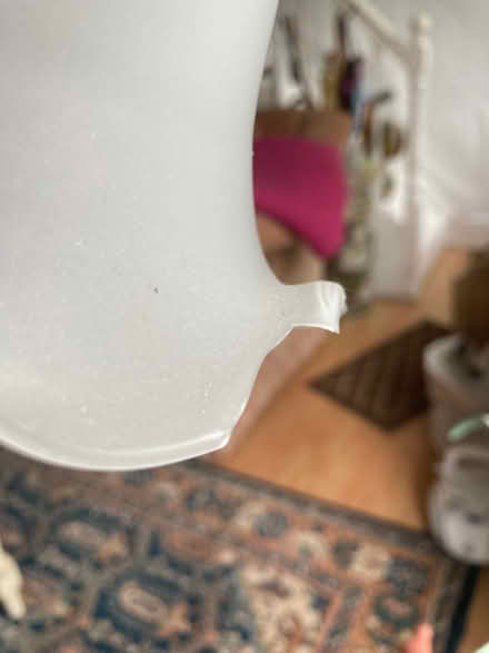 Photo of free Standard lamp (Fairfield Park) #2