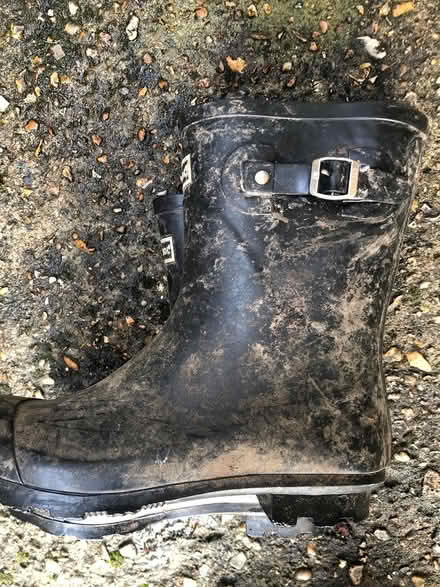 Photo of free Wellington boots shirt size 6 (Bromley BR1) #1