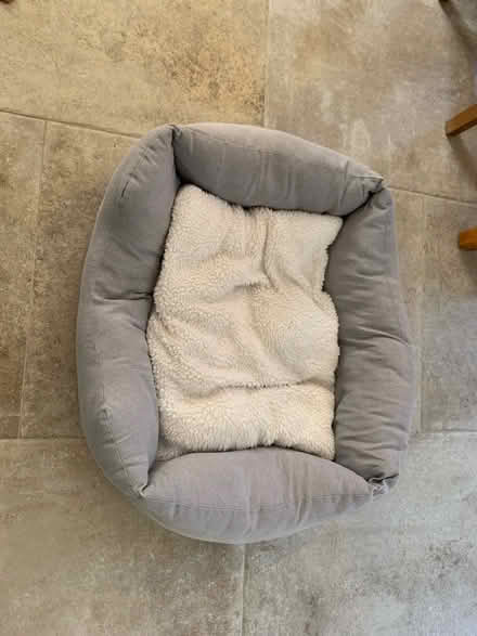 Photo of free Small/ medium sized dog bed (BR1 sundridge park) #1