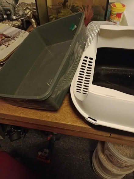 Photo of free Two small litter trays (Cr4) #2