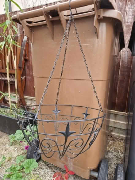 Photo of free Hanging basket 25.5 cm wide (West Avenue, Chelmsford, CM1) #1