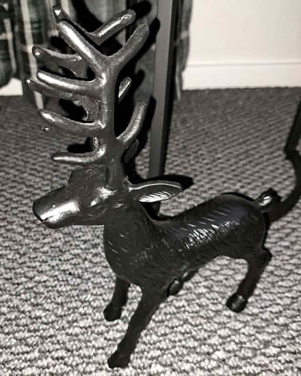 Photo of free Stag (Bulwell NG6) #1