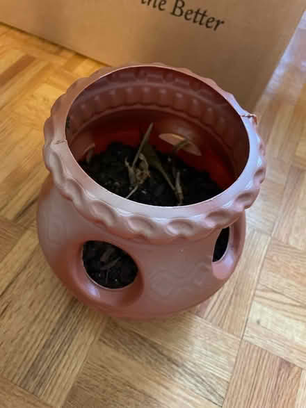 Photo of free Plastic pot (Hampton Big Bethel) #2