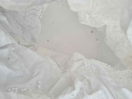 Photo of free Large sack of polystyrene balls (B71) #2