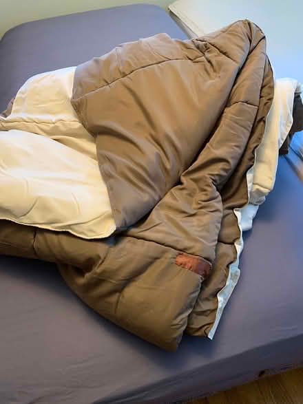 Photo of free Brown and Cream Comforter (48103 near Dicken school) #1