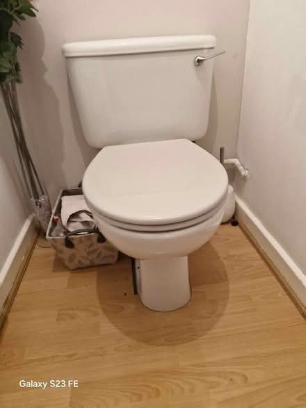 Photo of free White toilet with taupe seat (DE14) #1