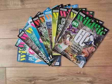 Photo of free BBC Wildlife magazines (Stevenage, Old Town SG1) #1