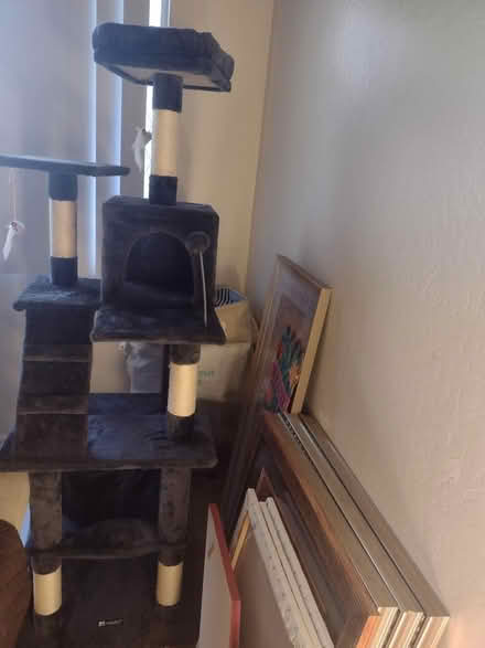 Photo of free cat tree (Alameda) #2