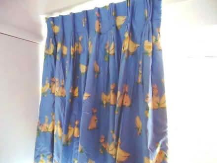 Photo of free Curtains (Fulham SW6) #1