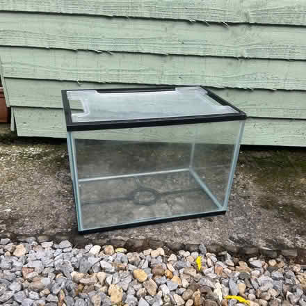 Photo of free Small fish tank (Wolsingham DL13) #2