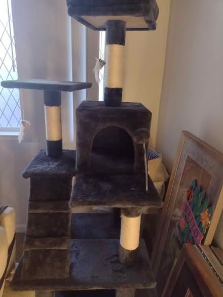 Photo of free cat tree (Alameda) #1