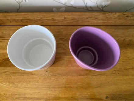 Photo of free Two small plant pots (Bassingham LN5) #2