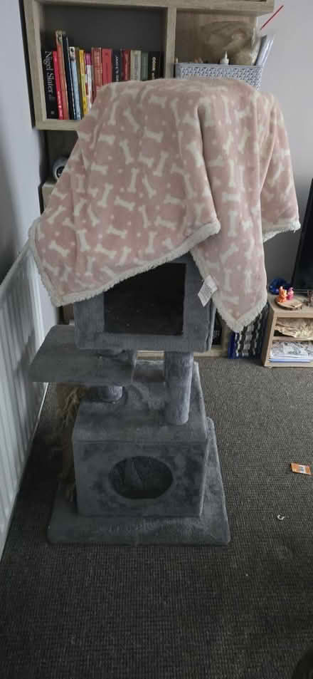 Photo of free Cat tree (Ws9) #1