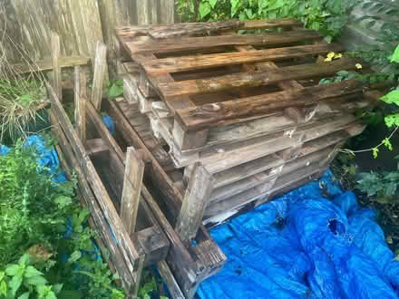 Photo of free Pallet Chairs (RH7 Lingfield) #1