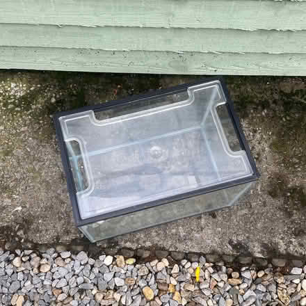 Photo of free Small fish tank (Wolsingham DL13) #1