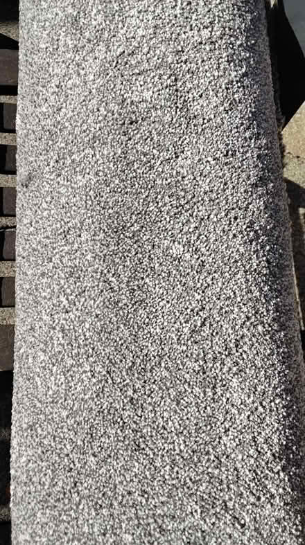 Photo of free Carpet (Marsh LA1) #1