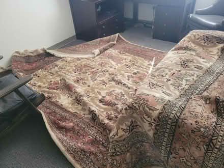 Photo of free Oriental style wool rug 8.5x11.5 (Belmont) #2