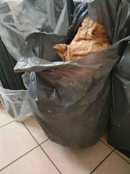 Photo of free Insulation (WF17 6LQ) #1