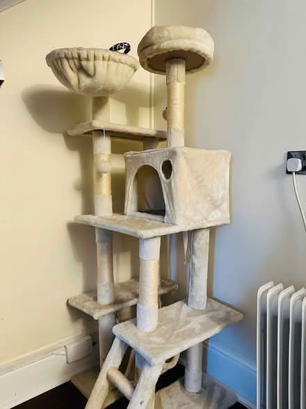Photo of free Cat tree (Bromley BR2) #1