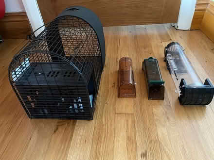 Photo of free Mouse traps humane for indoors (TW11 Teddington) #1
