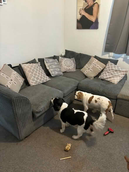 Photo of free Corner sofa (Birley S12) #3