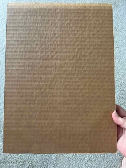 Photo of free Cardboard rectangles (Carrollwood/Citrus Park) #1