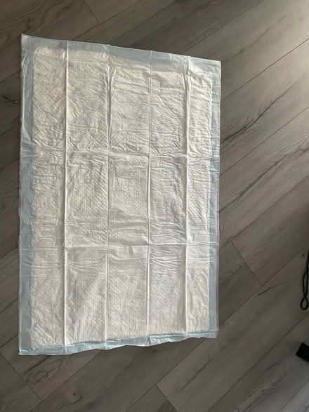 Photo of free Puppy pads (Tovil ME15) #1