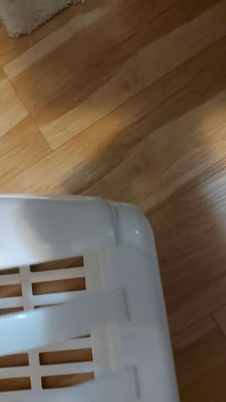 Photo of free Plastic laundry basket (319 Merton st) #3