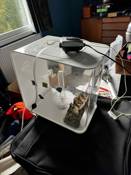 Photo of free Fish tank (York, Clifton Green) #2