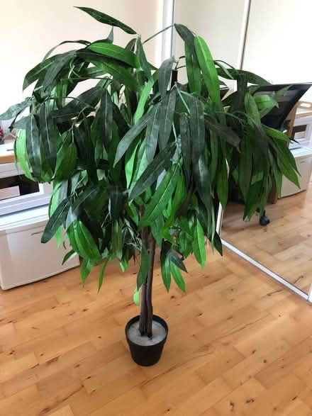 Photo of free Plastic tree (Kingston upon Thames KT2) #1