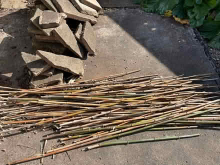 Photo of free Stack of bamboo (NG8) #1