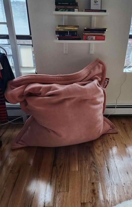 Photo of free New Bean Bag and Reading Pillow (Upper West Side/Harlem) #3