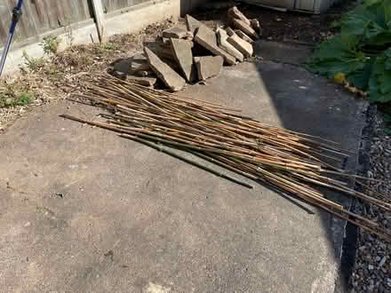 Photo of free Stack of bamboo (NG8) #2