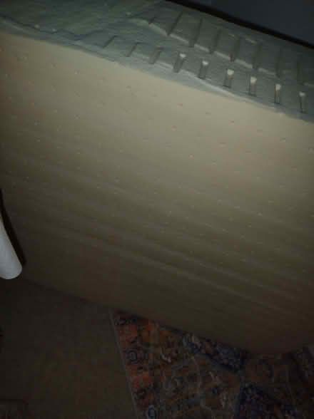 Photo of free Latex Foam (Chingford E4) #3